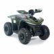 Квадроцикл детский электрический OMA Electric ELF-750 Dark green