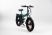 Электровелосипед OMA Electric FE17-R1