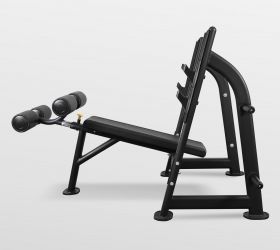 Скамья для жима с отрицательным наклоном BRONZE GYM BR-1013