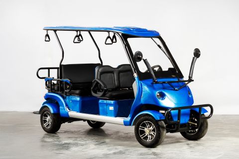 Гольфкар OMA Electric Q8-6 (4+2 60V 2500W)