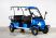 Гольфкар OMA Electric Q8-6 (4+2 60V 2500W)