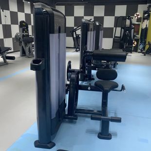 Разгибание спины Insight Fitness TF11