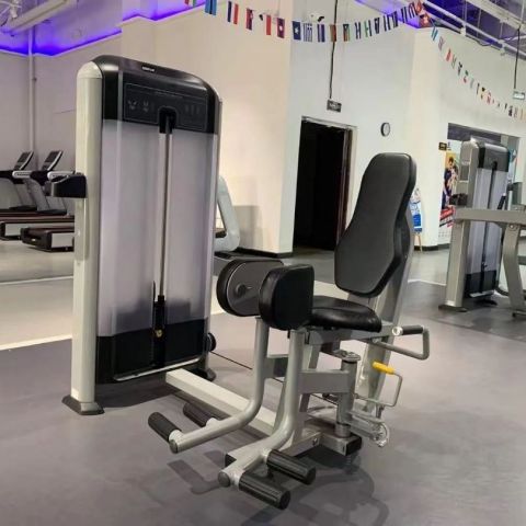 Сведение ног Insight Fitness TF19