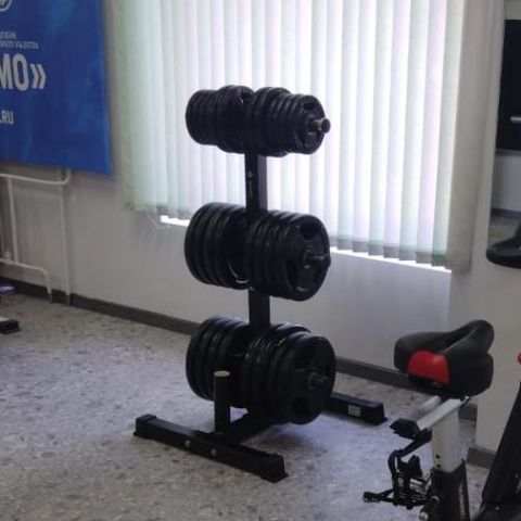 Стойка для дисков Insight Fitness TS206